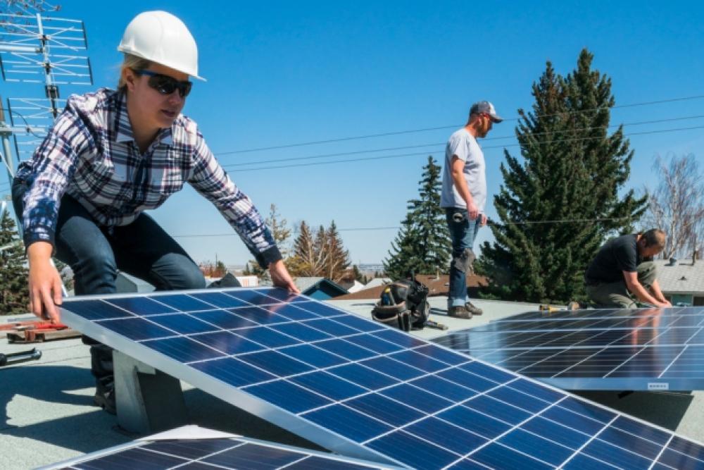 Transform to Net Zero and the Shift from Climate Ambition to Climate Action