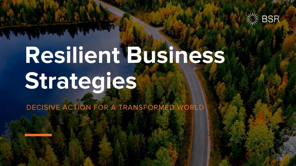 Resilient Business Strategies - Decisive Action For A Transformed World